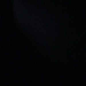 Meet your Posher, Roy